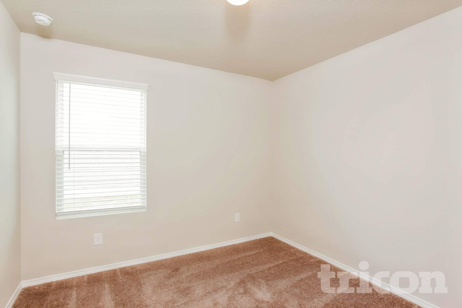Building Photo - 8518 Amistad Cove