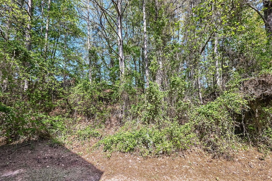 Building Photo - 335 Shadetree Ln