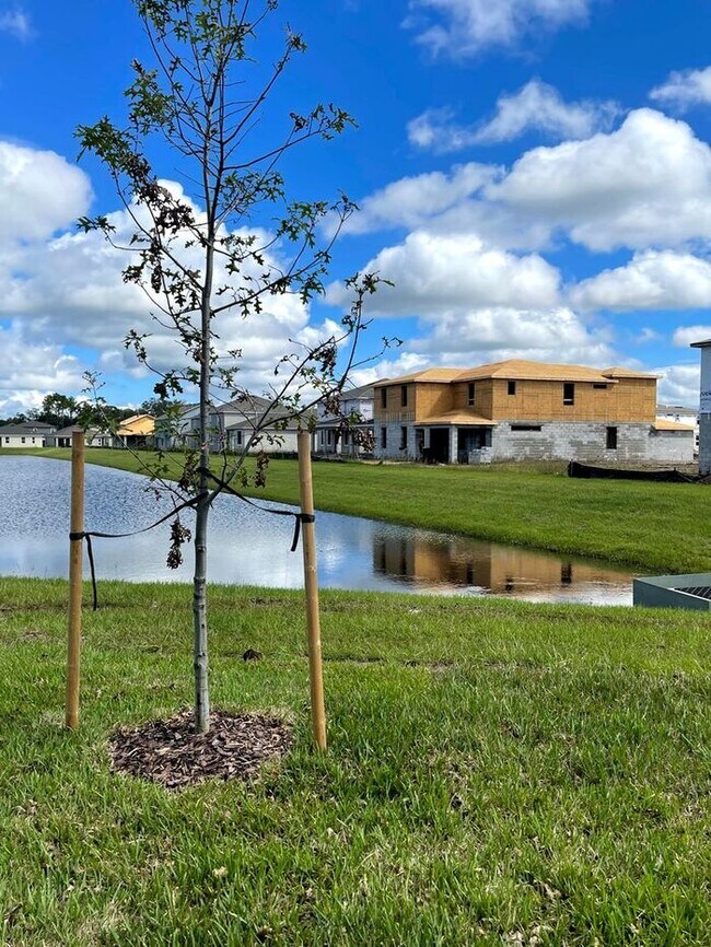 Building Photo - Wiregrass-1415 Grassland Ave St. Cloud, FL 34771