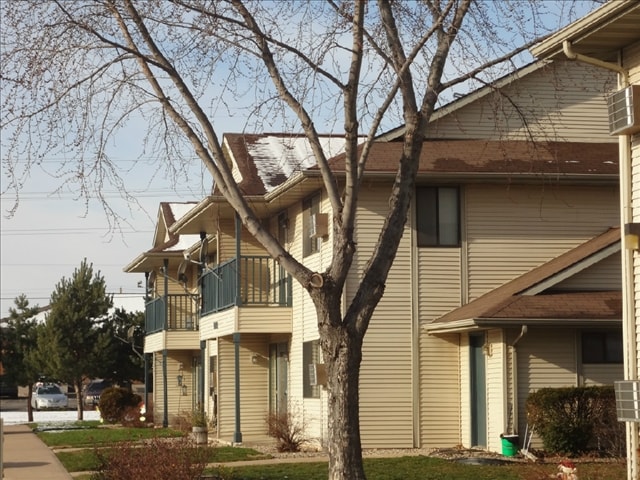 Primary Photo - The Grove on Lombard