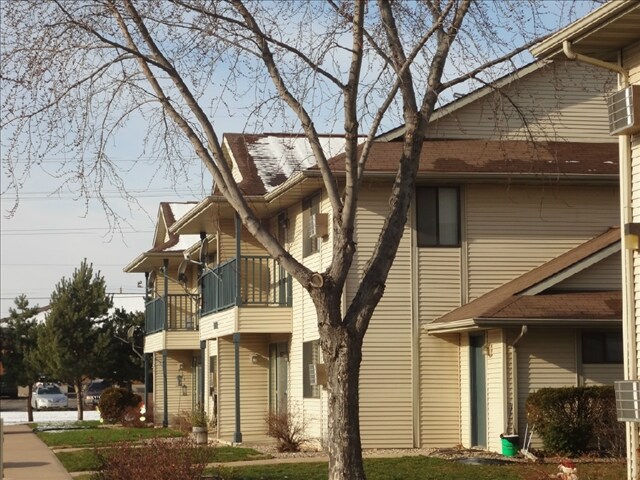 Primary Photo - The Grove on Lombard