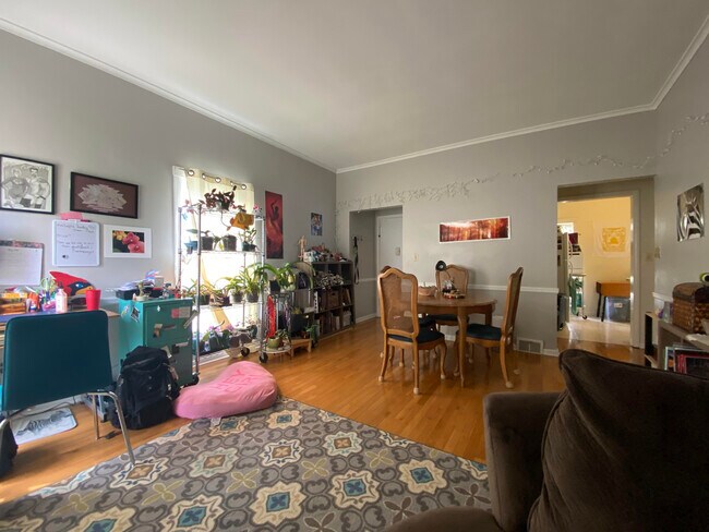 Natural Light - 702 Douglas Ave