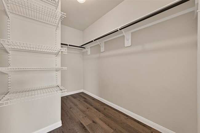 Building Photo - 3302 Alberelli Dr