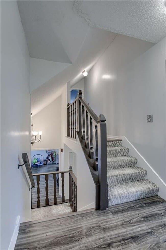 Building Photo - {8615} Remodeled w/ Updated Kitchen + New ...