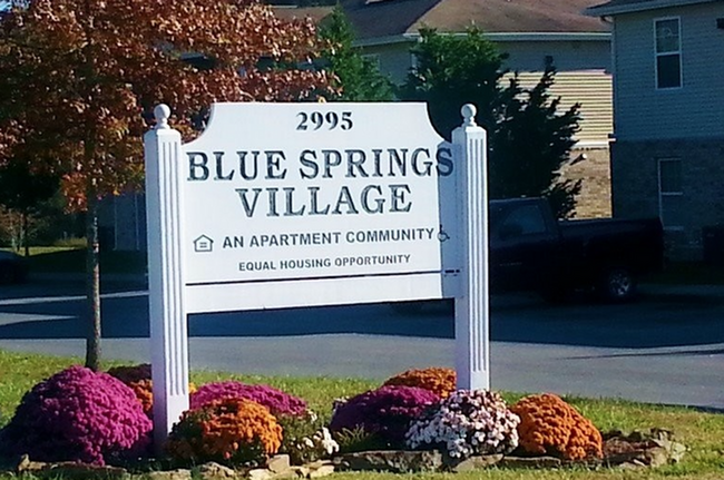 Building Photo - Blue Springs Village Apartments