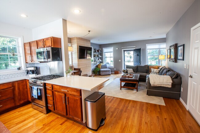 Kitchen Living Room - 9 Falkland Pl