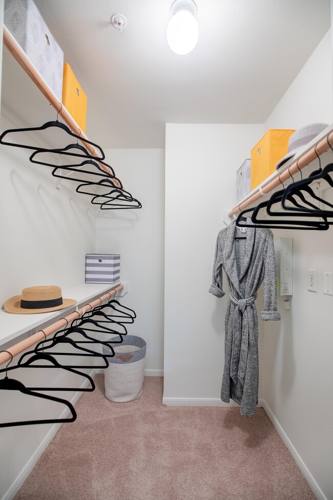 Large Bedroom Closet - Memorial Heights