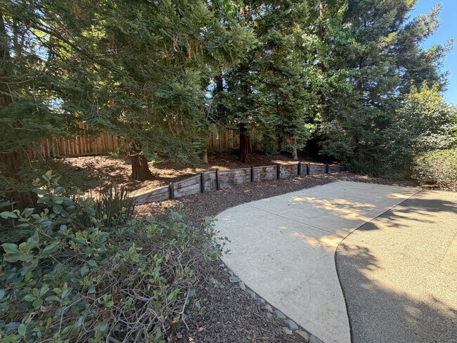 Building Photo - 4 bedroom | 2 bathroom | Gold River home