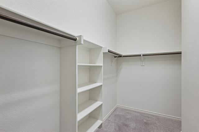 Building Photo - 924 Lake Cypress Ln