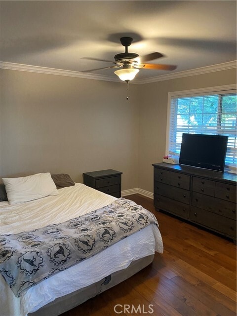 Building Photo - 806 Bloomwood Rd