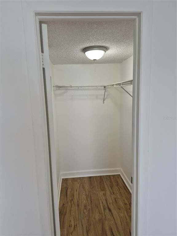 Building Photo - 1505 Pass a Grille Way