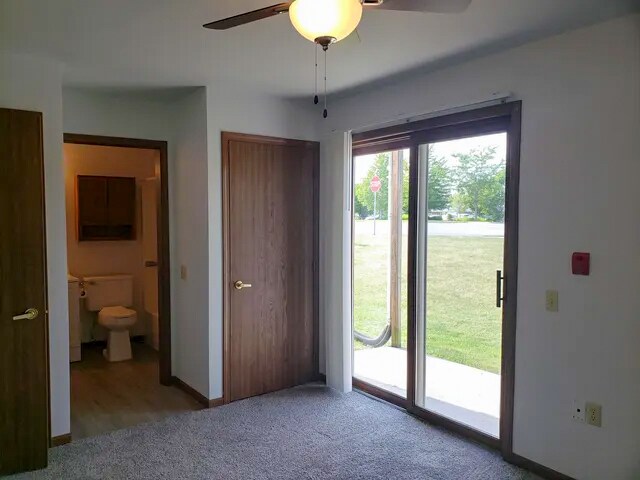 Building Photo - 687 Wood Violet Ln