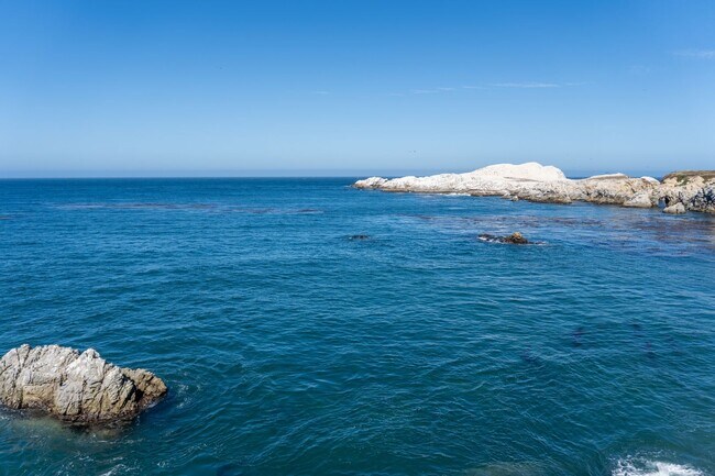 Building Photo - Bonnie's Point | Home Next to Point Lobos State Natural Reserve