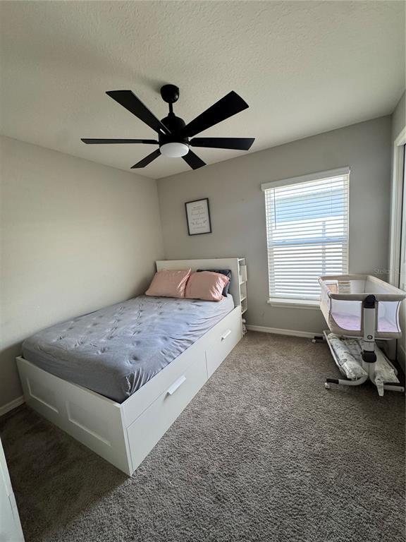 Building Photo - 3911 Palazzo Pl