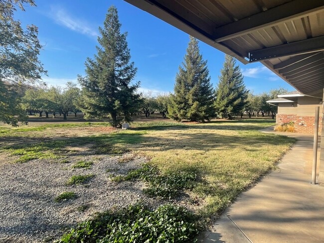 Building Photo - Incredible 3bd/2ba house surrounded by working orchards! Available now!