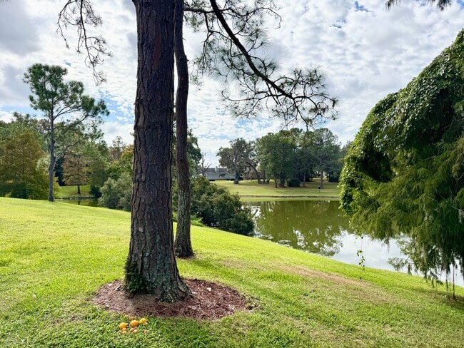 Building Photo - Beautiful 2 bedroom/2 bathroom corner condo in gated Regency Park!