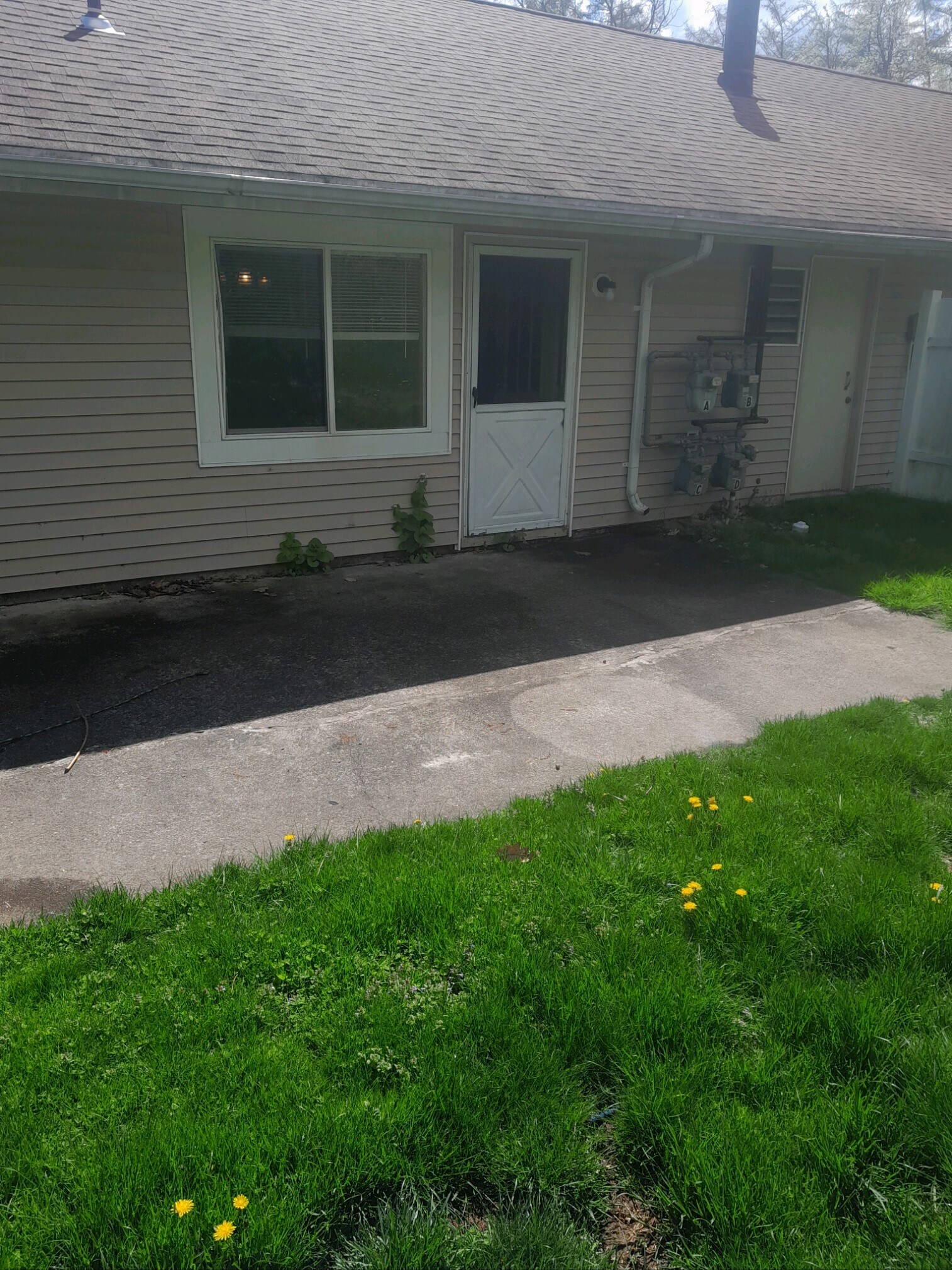 Back patio - 113 Raylinsky Rd