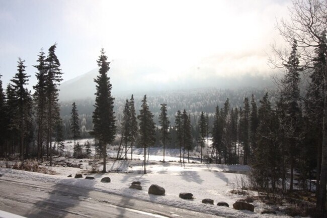 Building Photo - 3 Bed, 2.5 Bath Condo in Eagle River