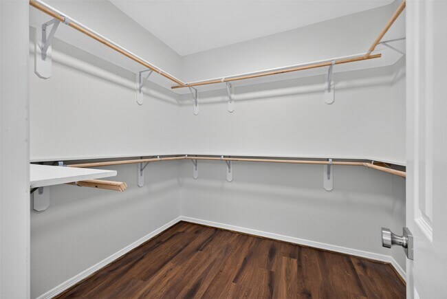 Building Photo - 24542 Bella Veneza Dr