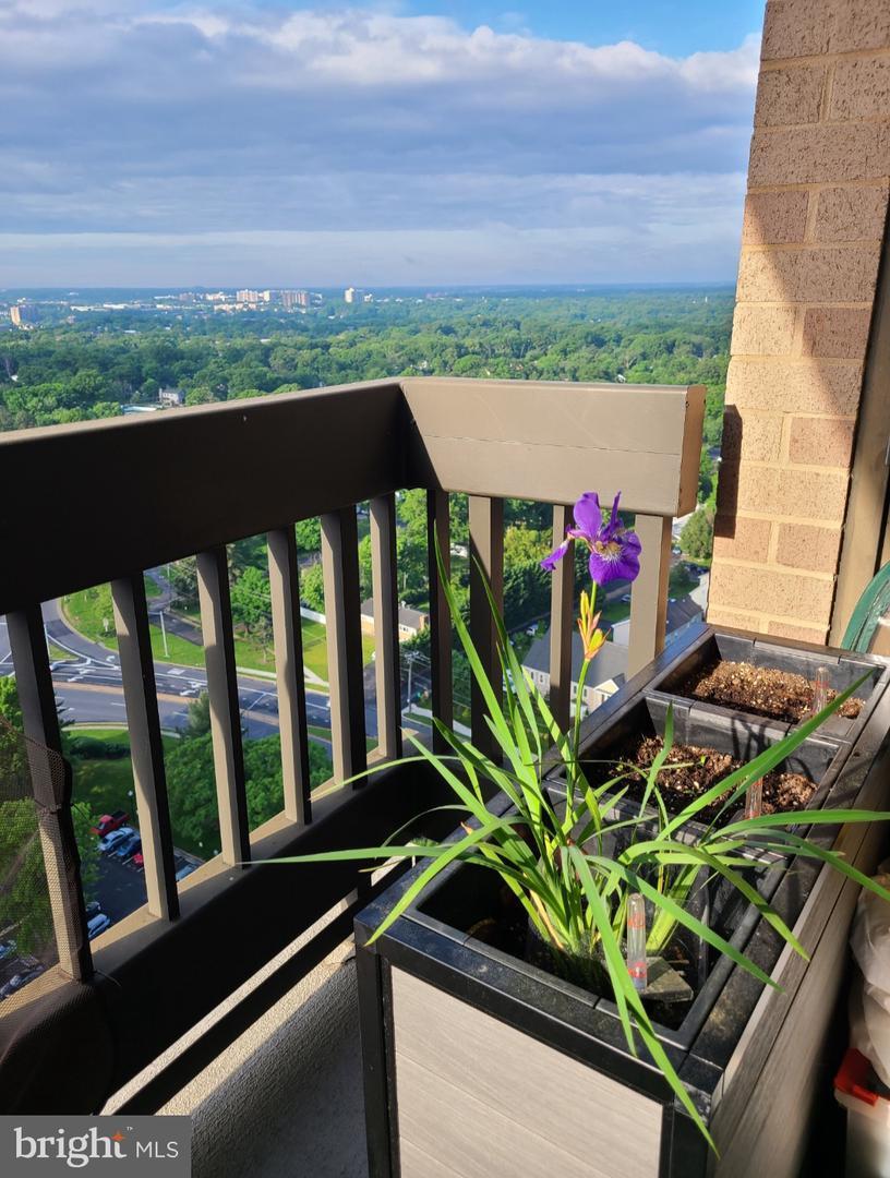 Building Photo - 5505 Seminary Rd