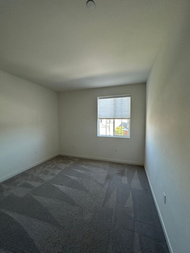 Building Photo - PET FRIENDLY