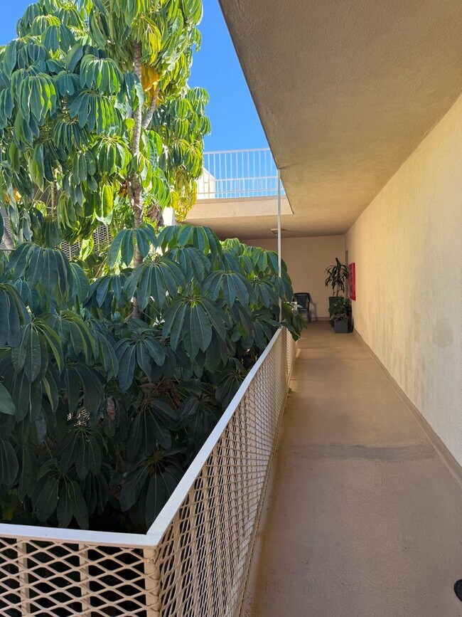 Building Photo - Valley Village-One Bedroom Apartment – Lig...