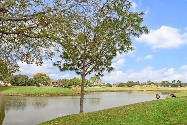 Building Photo - 24543 Pelican Hill Dr