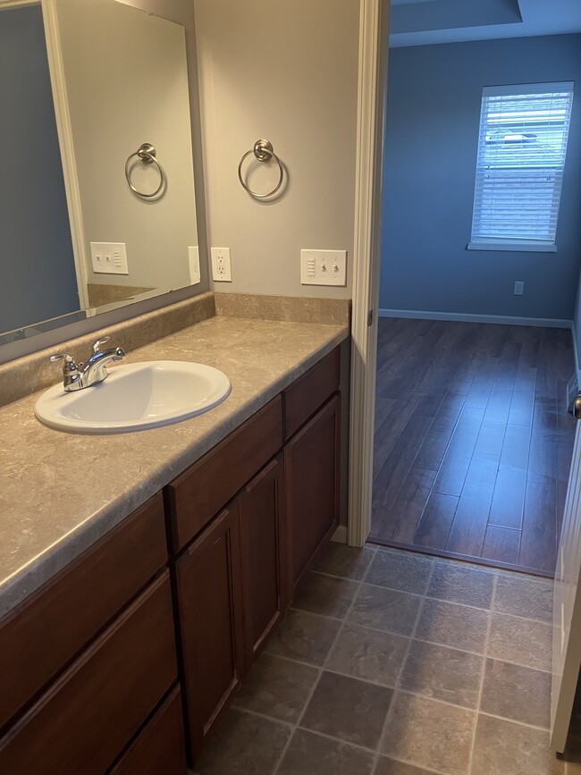 Master bath - 507 Stone Arbor Trail