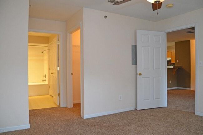 Building Photo - 31183 Paradise Commons