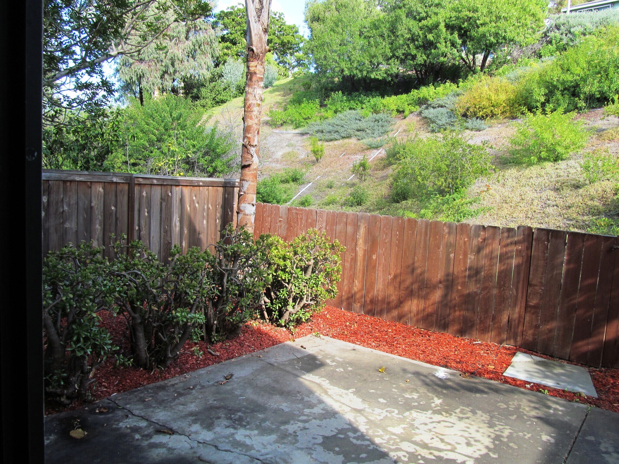 Yard - 11422 Madera Rosa Way