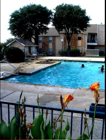 Pool - The Kimberly