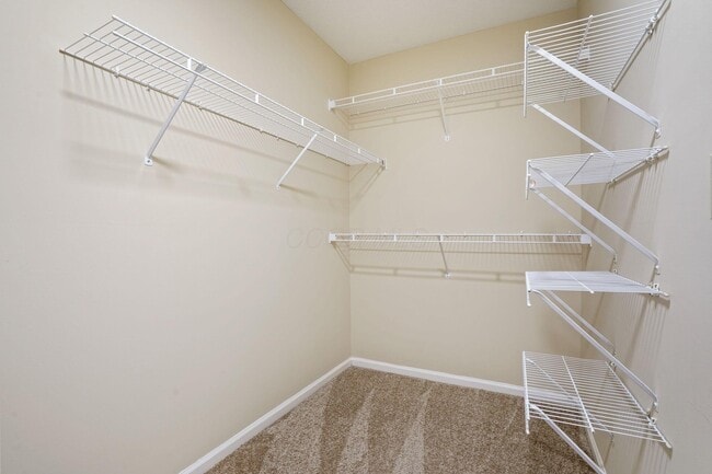 Building Photo - 5004 Stratford Pine Ln