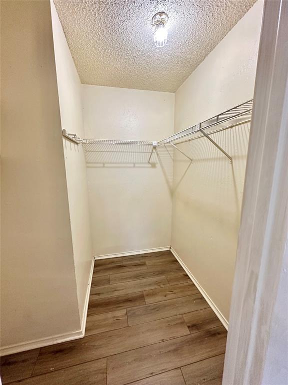 Building Photo - 9103 Japonica Ct