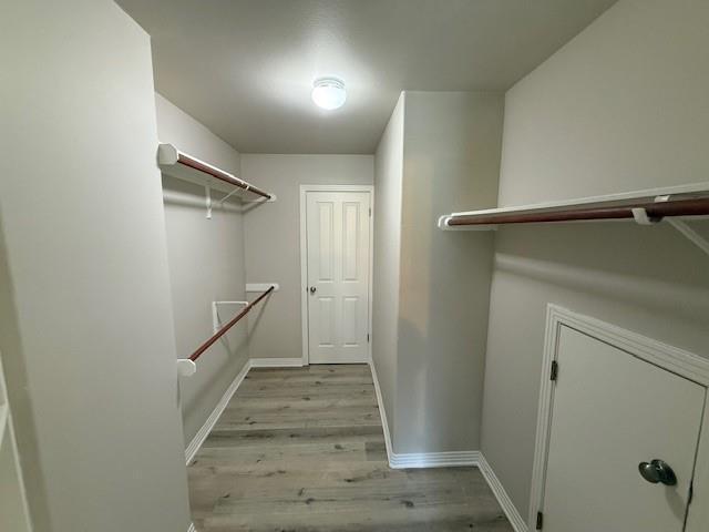 Building Photo - 5600 Wolf Ct