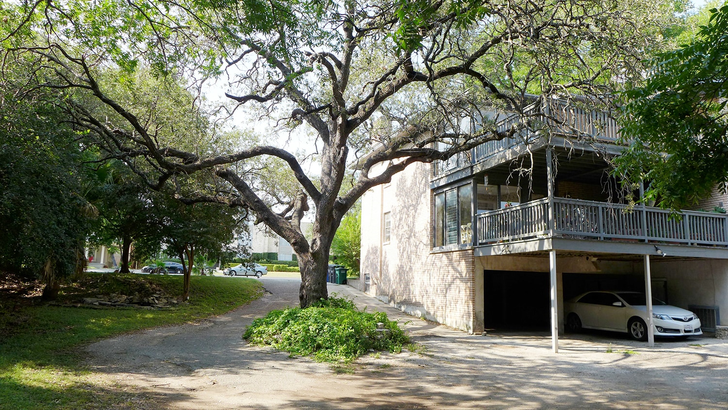 Building Photo - 310 West Mistletoe Avenue