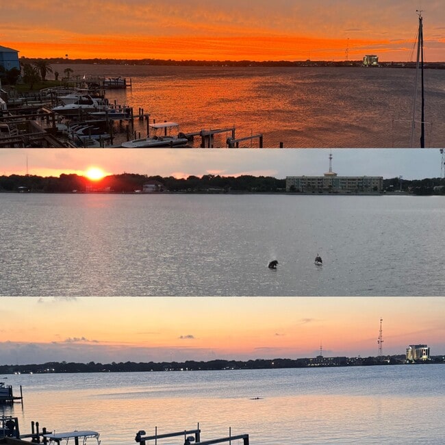 Building Photo - 202 Snug Harbour Dr