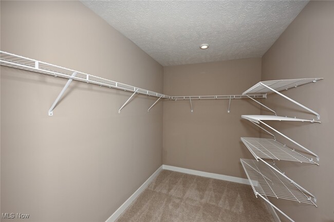Building Photo - 1838 Shank Dr