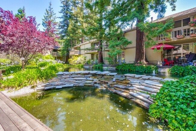 Building Photo - Beautiful 2BR 2BA downstairs condo in Moun...
