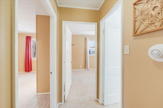 Building Photo - Newly Renovated 2 bedroom, 1 bathroom Urbana-Available April 1st, 2026