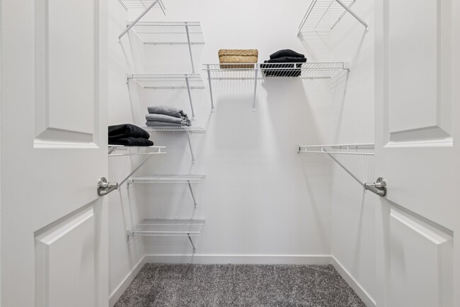 Floorplan - Coya