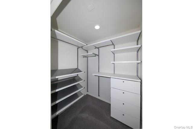 Building Photo - 238 Village Green Dr