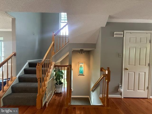 Building Photo - 10148 Vanderbilt Cir