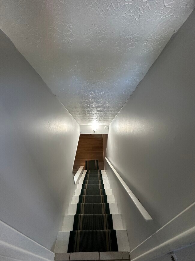 Basement - 2296 Fenton St