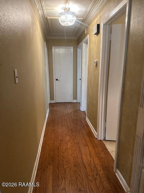 Building Photo - 305 Cambridge Dr