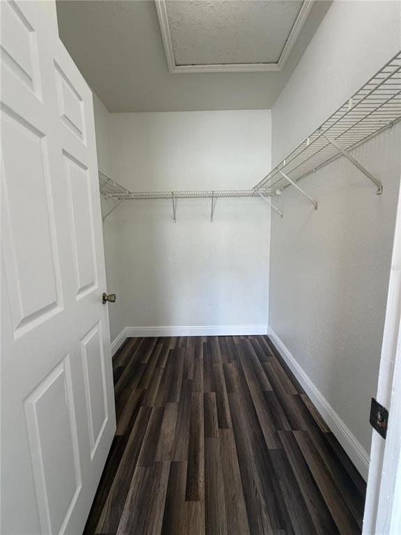 Building Photo - 822 Camargo Way