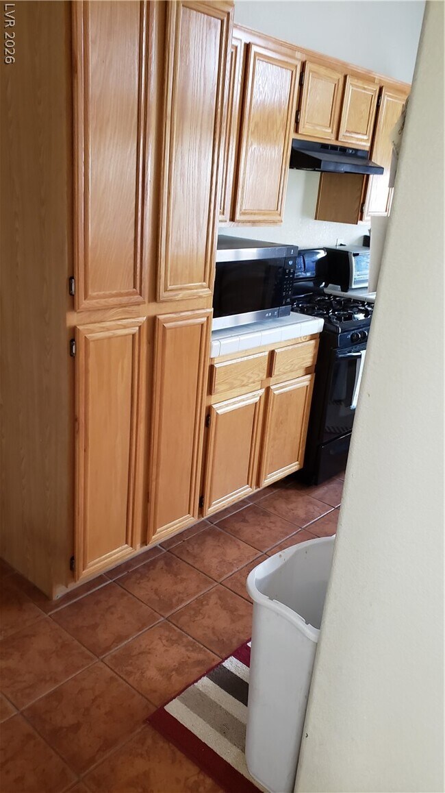 Building Photo - 606 Lively Fiesta Way