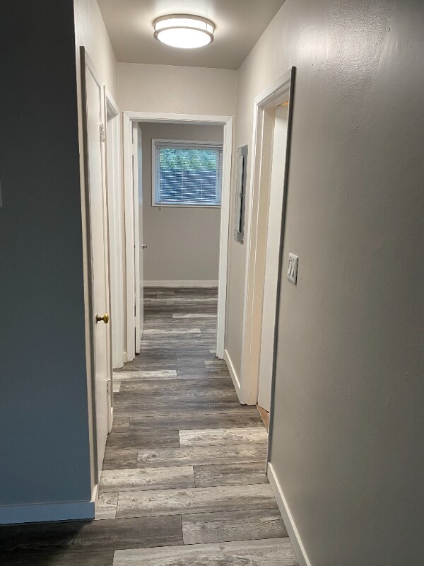 Building Photo - 4636 22nd Ave NE