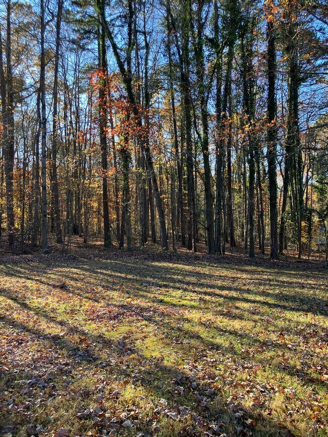 Building Photo - Charming  Duplex in Mooresville