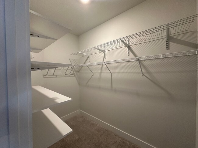 Building Photo - 521 Robinwood Pl
