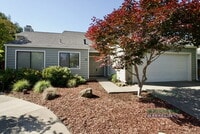 Building Photo - 41 Pine Tree Ct